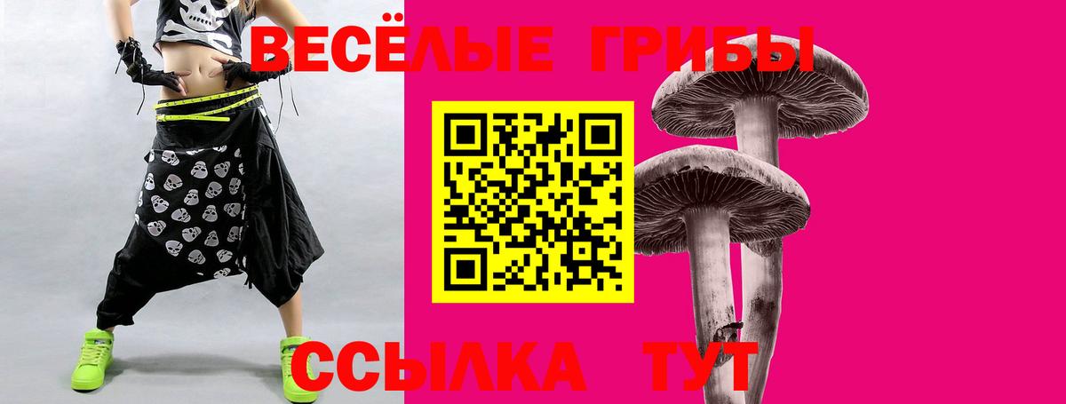 Галлюциногенные грибы Psilocybe  Псилоцибиновые грибы GOLDEN TEACHER  Вход с VPN  Бугуруслан 